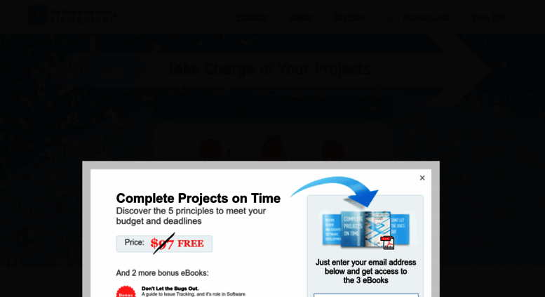 Software-Projektmanagement kostenlos E-Book