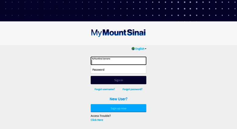 Access Mychart mountsinai MyChart Application Error Page