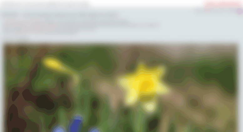 Access Imgsrc Su Your Personal Unlimited Free Photo Hosting Ru Imgsrc Su Screenshot