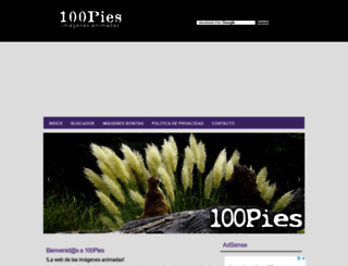 100pies.net screenshot