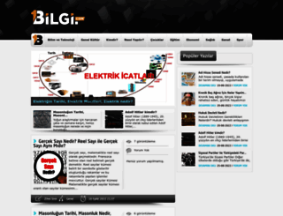 1bilgi.com screenshot