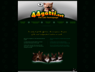 44gatti.net screenshot