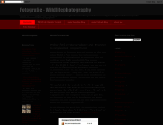 600mm.blogspot.com screenshot