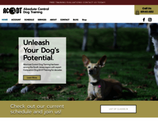 acdtacademy.com screenshot