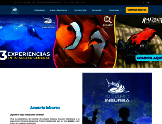 acuarioinbursa.com.mx screenshot