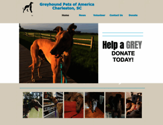 adoptcharlestongreys.org screenshot