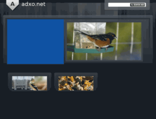 adxo.net screenshot
