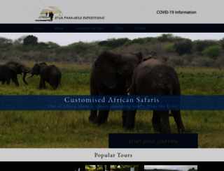 africa-customised.com screenshot