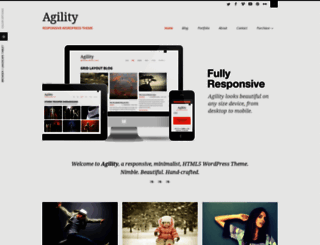 agility.sevenspark.com screenshot