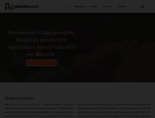 agrupaejido.com screenshot