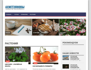 ahmetzianov.ru screenshot