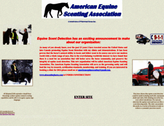 airscentinghorse.com screenshot