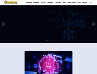 akarsubasi.com screenshot