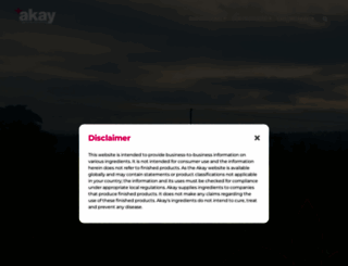 akay-group.com screenshot