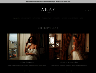 akay.com.tr screenshot