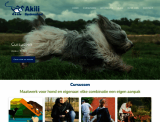 akili.nl screenshot