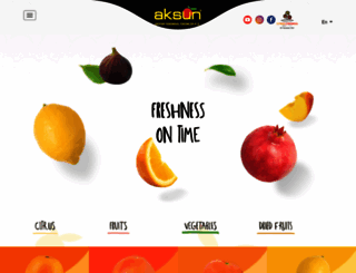 aksun.com.tr screenshot