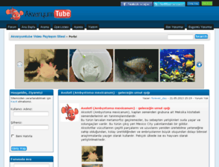 akvaryumtube.com screenshot