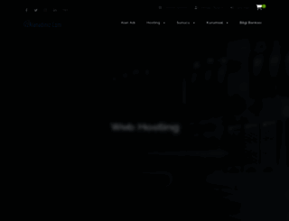 alanadiniz.com screenshot