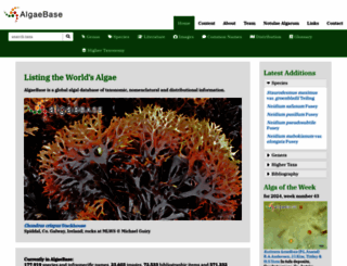 algaebase.org screenshot