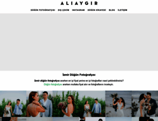 aliaygir.com.tr screenshot