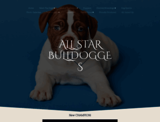 allstarbulldogges.com screenshot