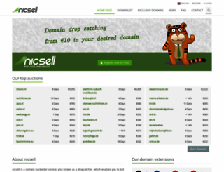 alpinraft.ch screenshot