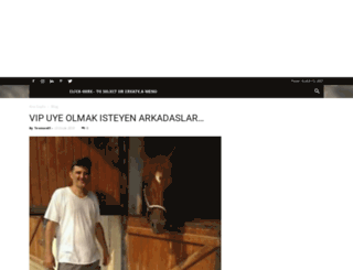 altinkirbac.com screenshot