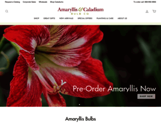 amaryllis.com screenshot