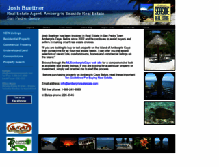 ambergriscayebelizerealestate.com screenshot