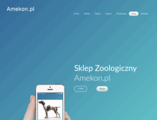 amekon.pl screenshot
