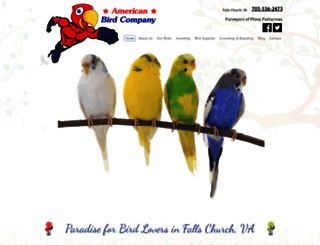 americanbirdcompany.com screenshot