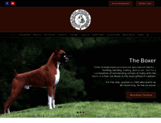 americanboxerclub.net screenshot