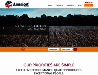 americot.com screenshot