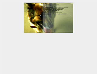 amniisia.com screenshot