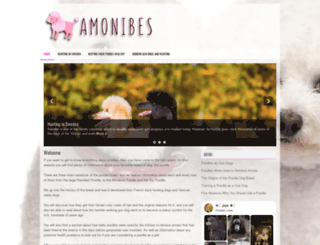 amonibes.com screenshot