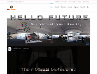amsglobalinc.com screenshot