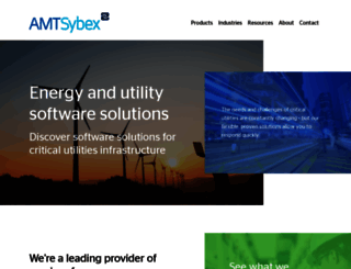 amt-sybex.com screenshot