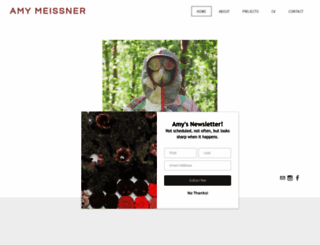 amymeissner.com screenshot