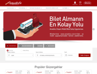 anadolu.com.tr screenshot