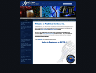 analyticalservices.com screenshot
