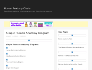 anatomy-diagram.net screenshot