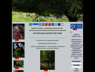 anayennisi-aromatics.com screenshot
