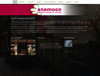 anemoon.nl screenshot