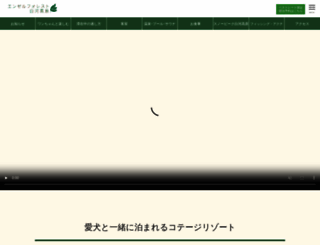 ang-f-ns.com screenshot