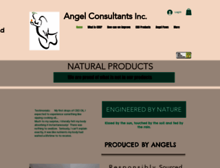 angelconsultantsinc.com screenshot