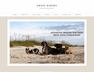 angiekerinsphotography.com screenshot
