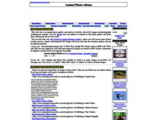 animal.memozee.com screenshot