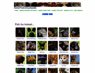 animalfactsencyclopedia.com screenshot