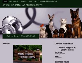 animalhospitaltwinsburgoh.com screenshot